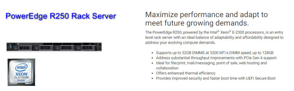  PowerEdge R250